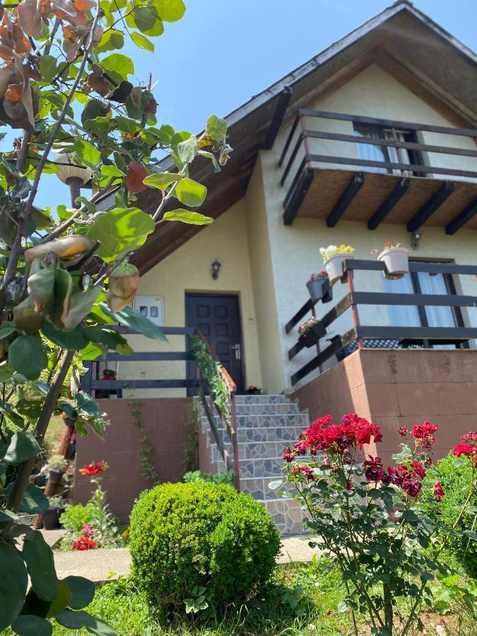 Vidikovac Bijelo Polje Hotel Buitenkant foto