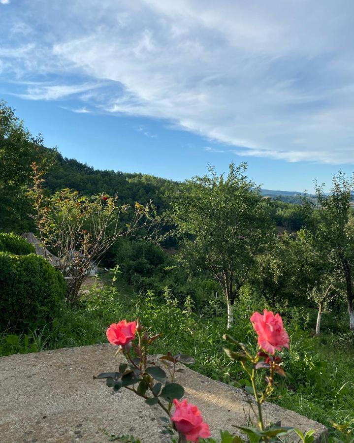 Vidikovac Bijelo Polje Hotel Buitenkant foto